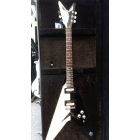 Dean V Michael Schenker Custom inc Case.